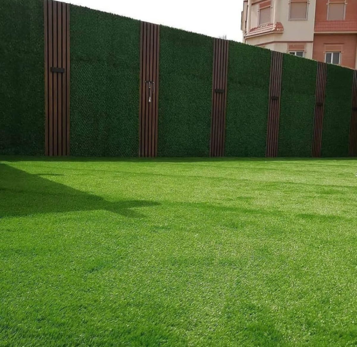 سياج حدائق أخضر الكويت